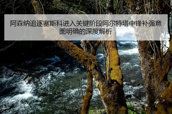 阿森纳追逐塞斯科进入关键阶段阿尔特塔中锋补强意图明确的深度解析