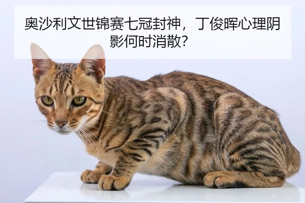 奥沙利文世锦赛七冠封神，丁俊晖心理阴影何时消散？