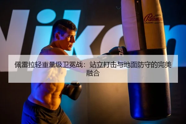 佩雷拉轻重量级卫冕战：站立打击与地面防守的完美融合