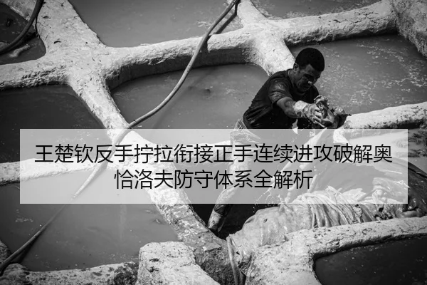 王楚钦反手拧拉衔接正手连续进攻破解奥恰洛夫防守体系全解析