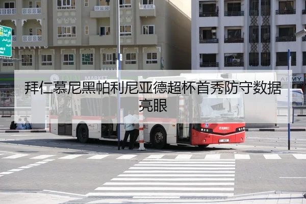 bai-ren-mu-ni-hei-pa-li-ni-ya-de-chao-bei-shou-xiu-fang-shou-shu-ju-liang-yan-3-132.jpg