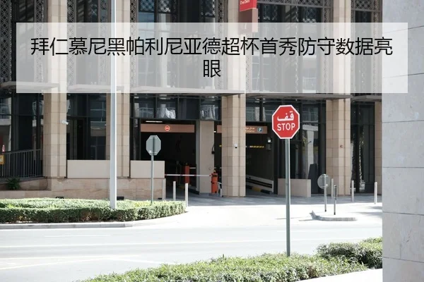 拜仁慕尼黑帕利尼亚德超杯首秀防守数据亮眼