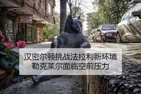 han-mi-er-dun-tiao-zhan-fa-la-li-xin-huan-jing-lei-ke-lai-er-mian-lin-kong-qian-ya-li-2-163.jpg