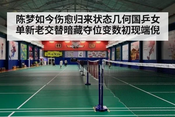 陈梦如今伤愈归来状态几何国乒女单新老交替暗藏夺位变数初现端倪
