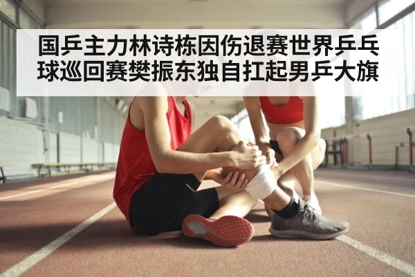 国乒主力林诗栋因伤退赛世界乒乓球巡回赛樊振东独自扛起男乒大旗